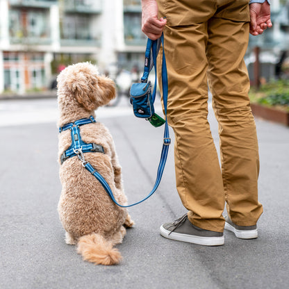Dog Copenhagen Urban Freestyle Leash Desert Dune