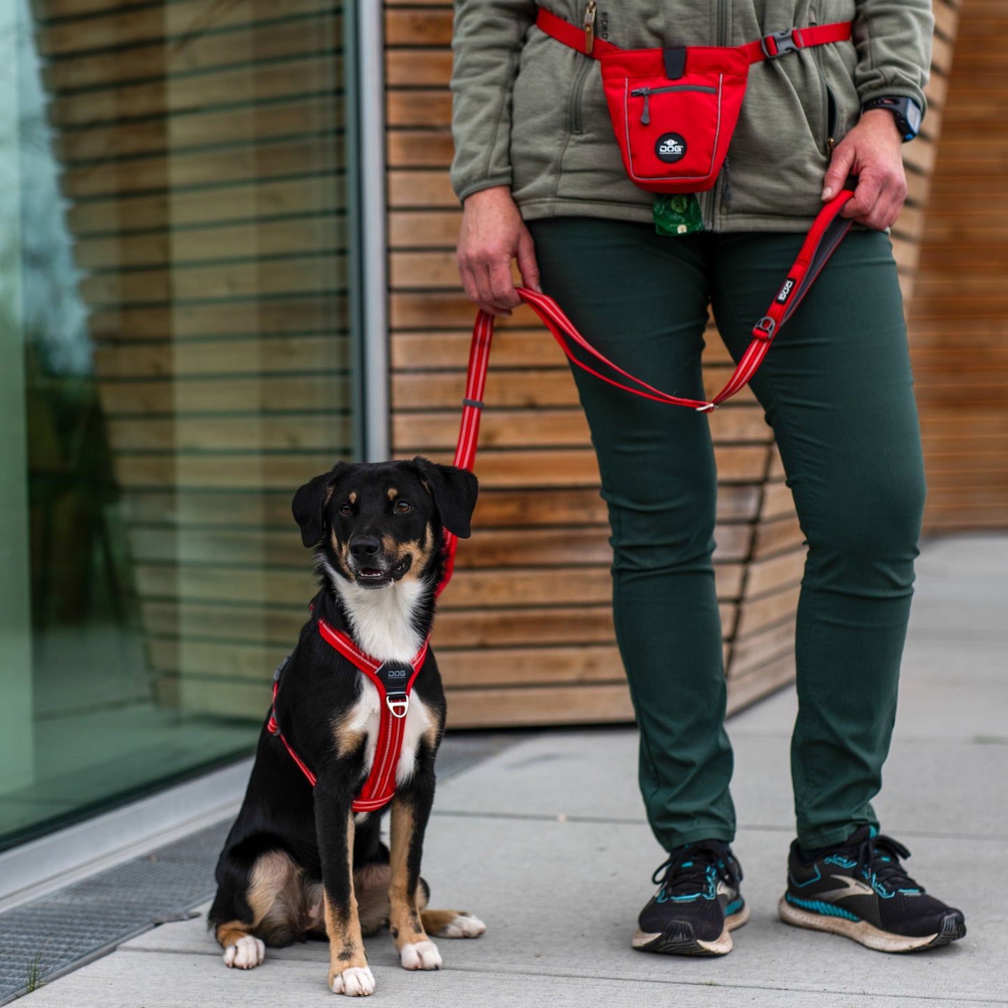 Dog Copenhagen Urban Freestyle Leash Desert Dune