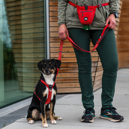 Dog Copenhagen Urban Freestyle Leash Desert Dune