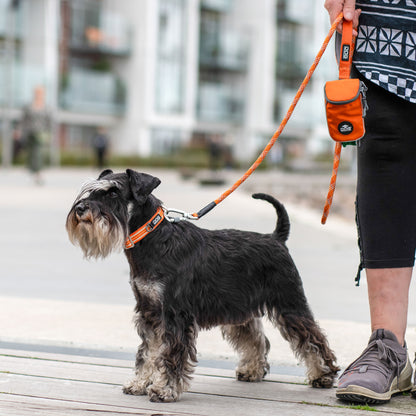 Dog Copenhagen Urban Rope Leash Wild Rose