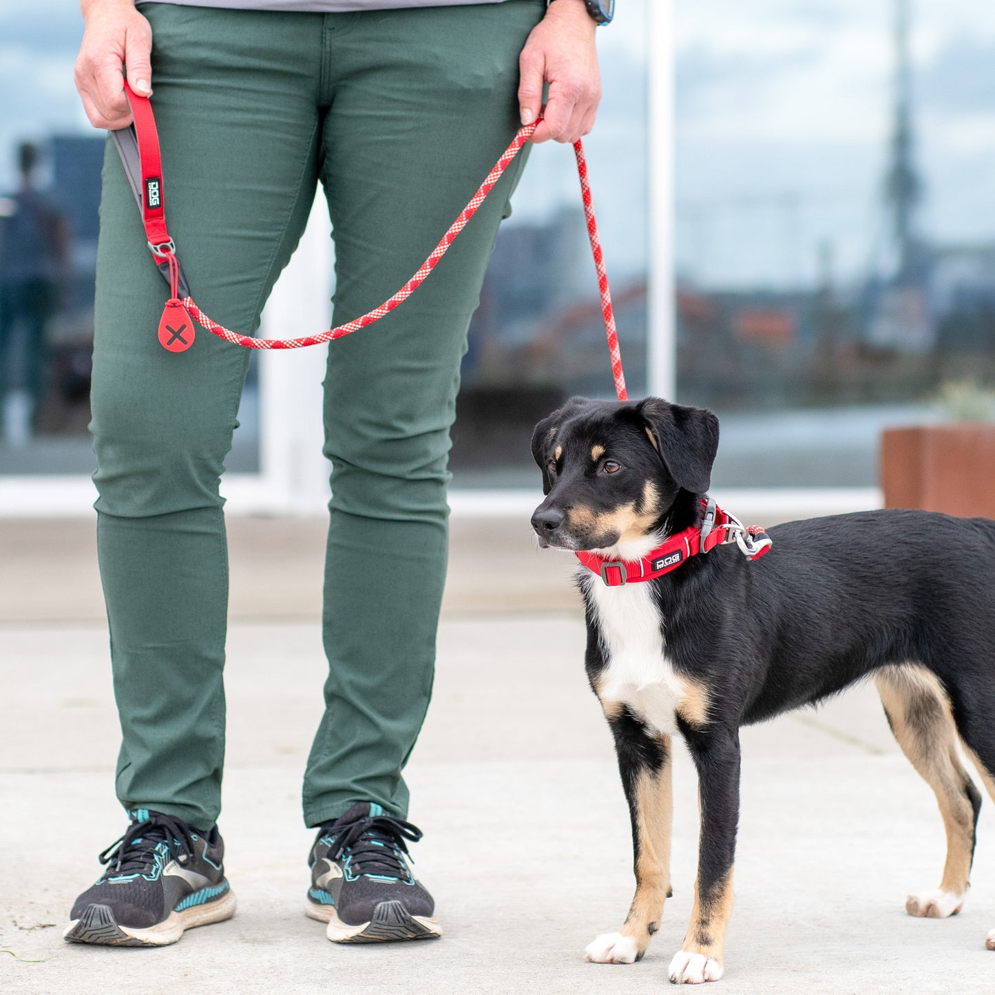 Dog Copenhagen Urban Rope Leash Wild Rose