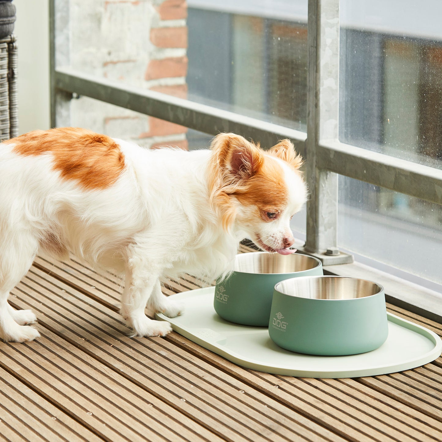 Dog Copenhagen Vega Bowl Mint Green