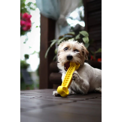 Fiboo Fiboone Dentalben