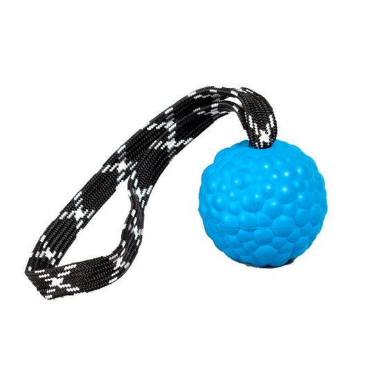 Raddog Boll Mjuk