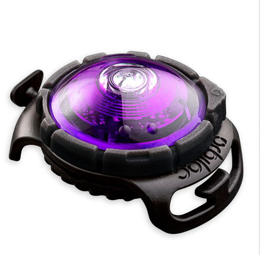 Orbiloc Safety Light Dual Purple