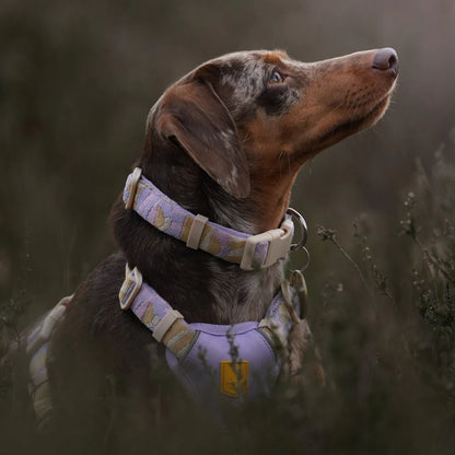 Woolly Wolf Halsband Sunshower