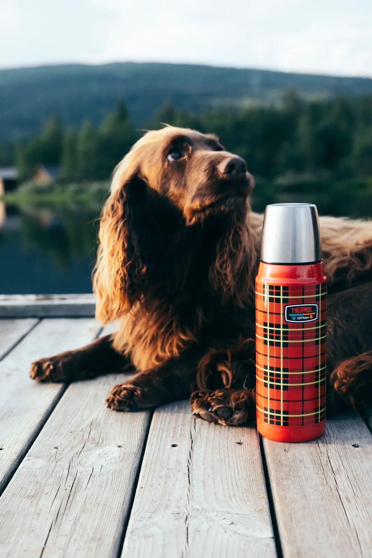 Thermos Jubileum 0.5L Rödrutig