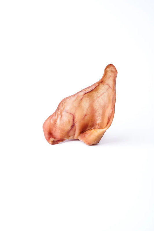 Bengtssons Grisöra