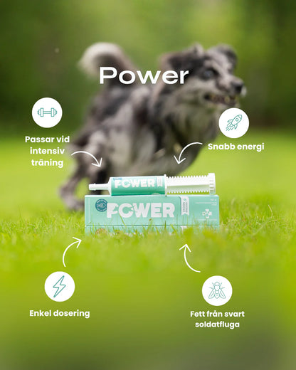 Svenska Djurapoteket Power Kyckling 60g