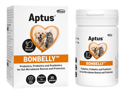 Aptus Bonbelly