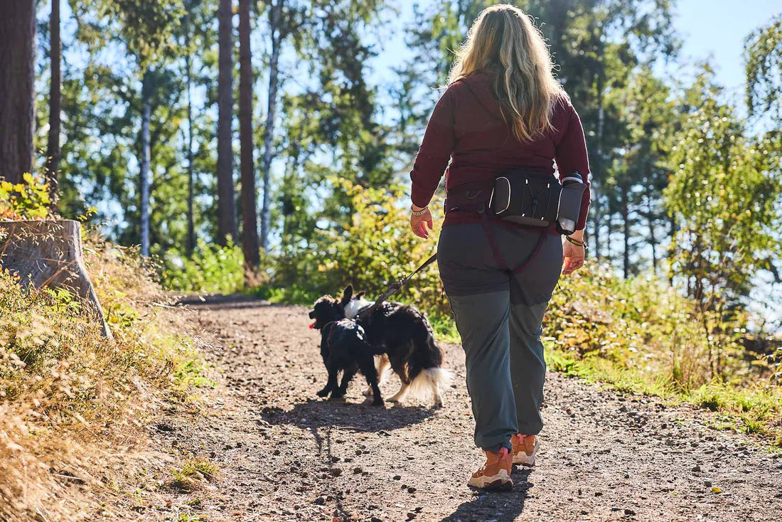 Non-stop Dogwear Belt Bag