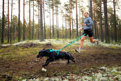 Non-stop Dogwear Bungee Leash Aqua
