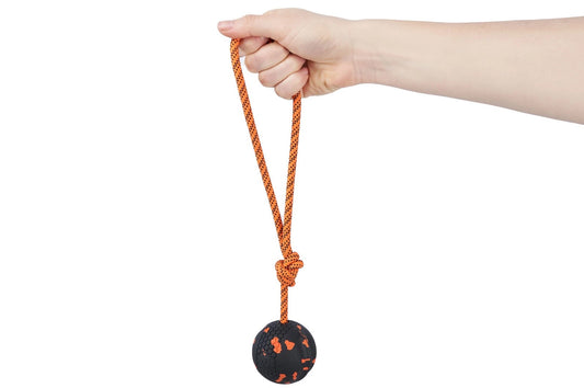 Non-stop Dogwear Ball on Rope