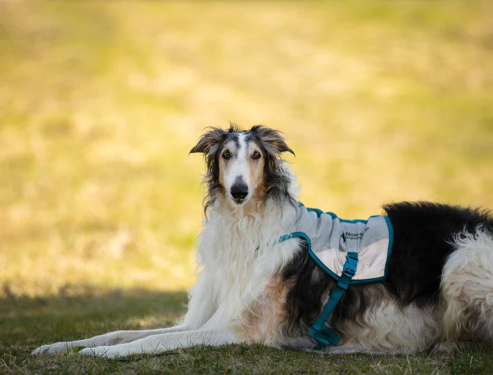 Non-stop Cooling Vest