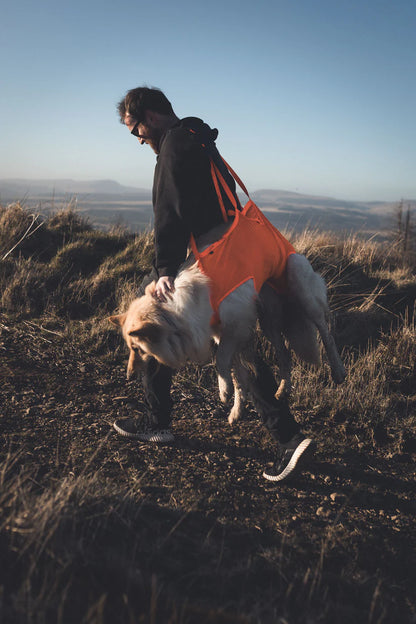 Non-stop Dogwear Rescue Sling