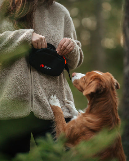 Non-stop Dogwear Trail Quest Fanny Pack Black