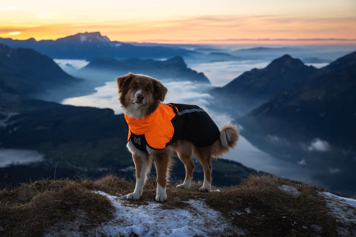 Non-stop Dogwear Fjord Raincoat 2.0 Black/Orange