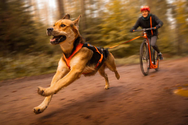Non-stop Dogwear Freemotion Harness 5.0 Orange