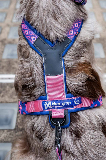 Non-stop Dogwear Line harness 5.0 Rachel Pohl Edition Purple/Pink