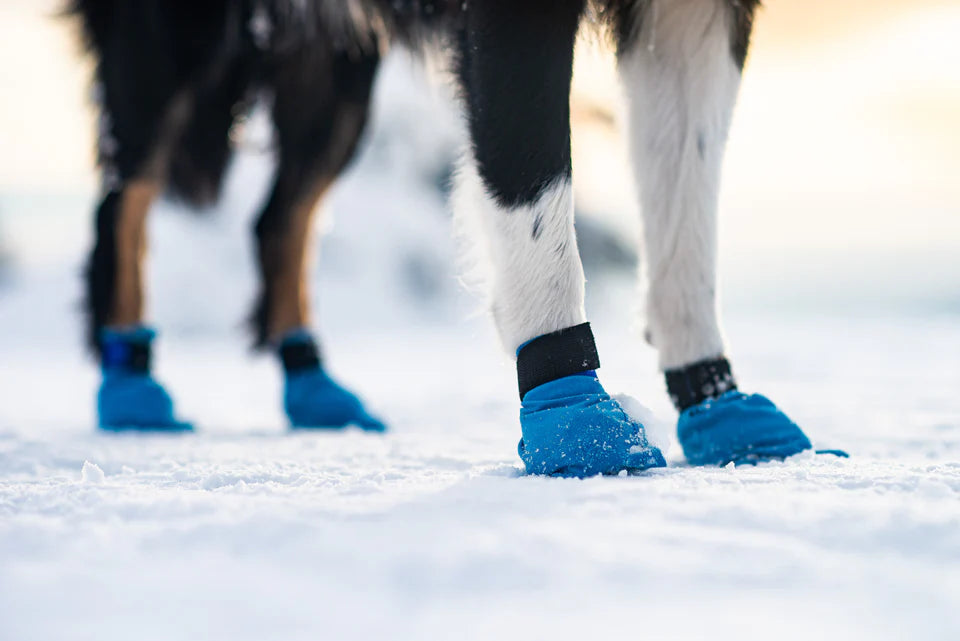 Non-stop Dogwear Long Distance Bootie