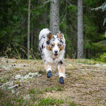 Non-stop Dogwear Protector Bootie