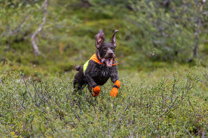 Non-stop dogwear Protector Cover 2.0 Orange