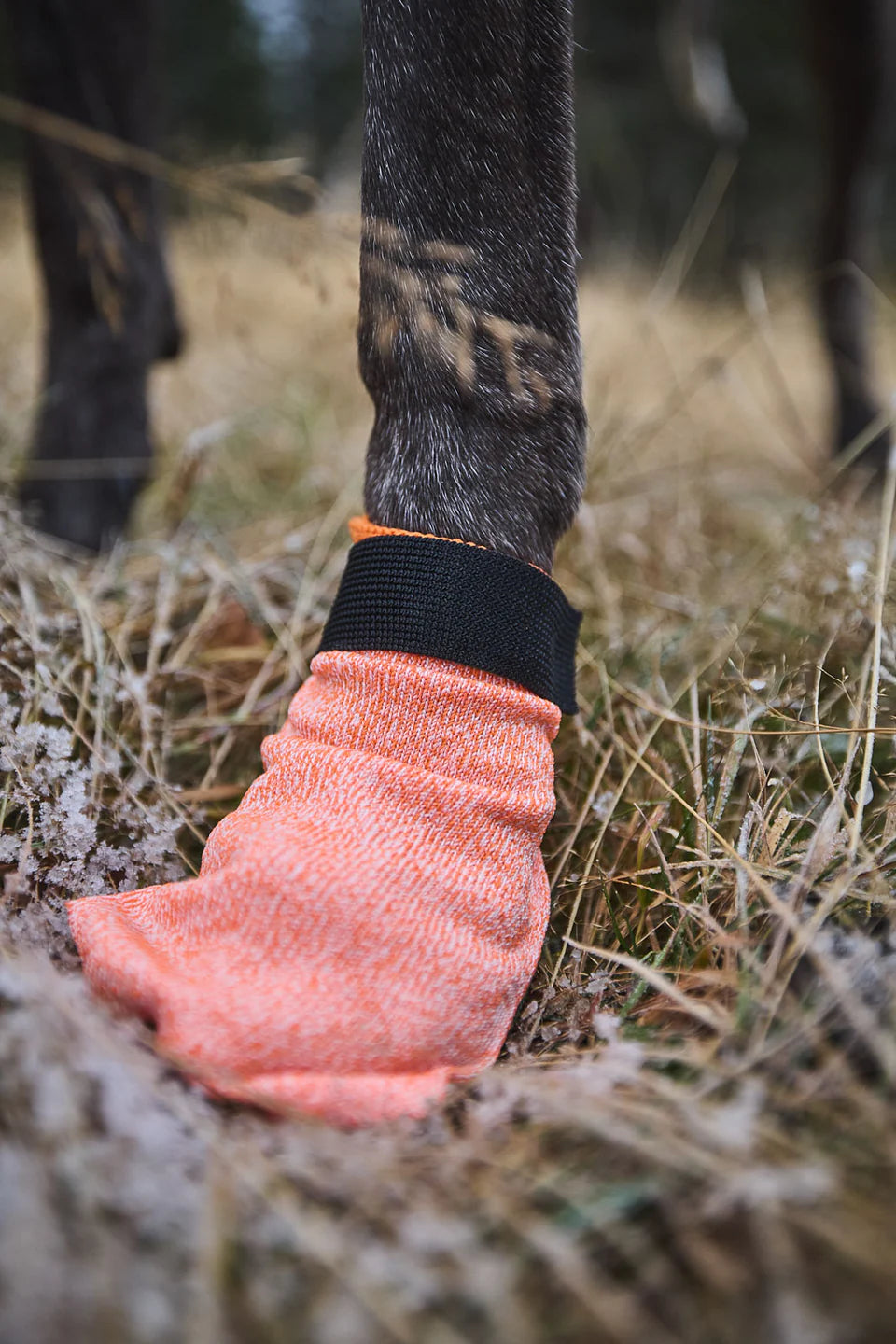 Non-stop Dogwear Protector Light Socks