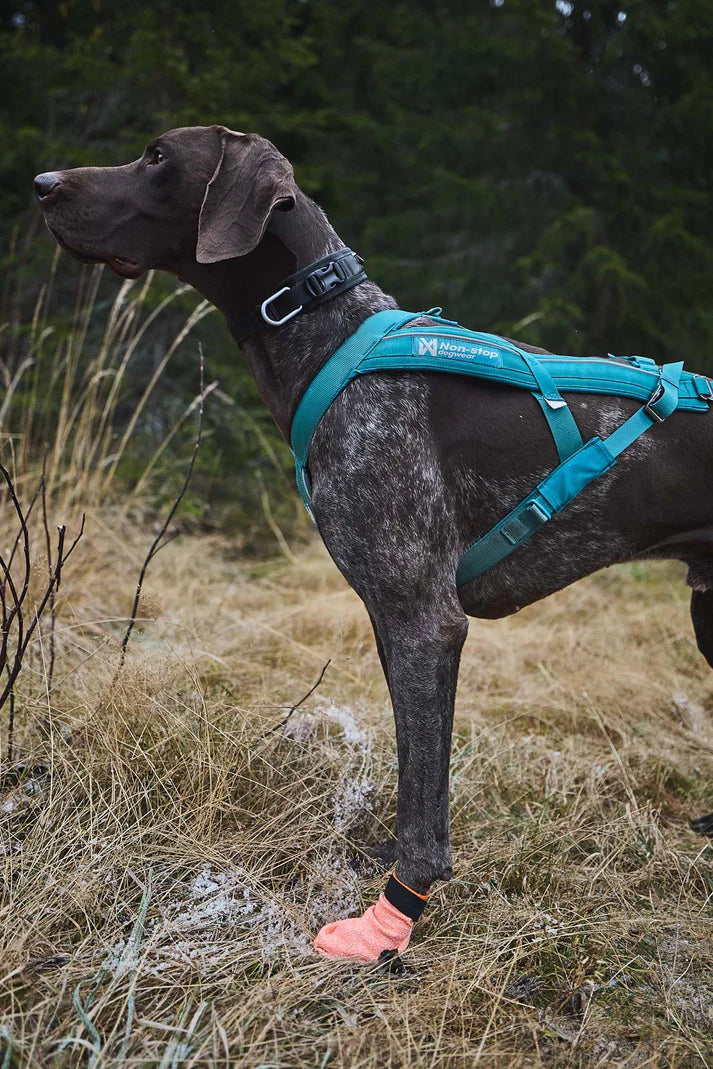 Non-stop Dogwear Protector Light Socks