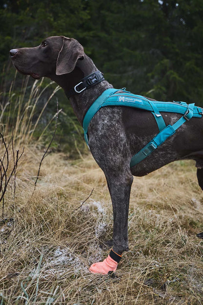 Non-stop Dogwear Protector Light Socks