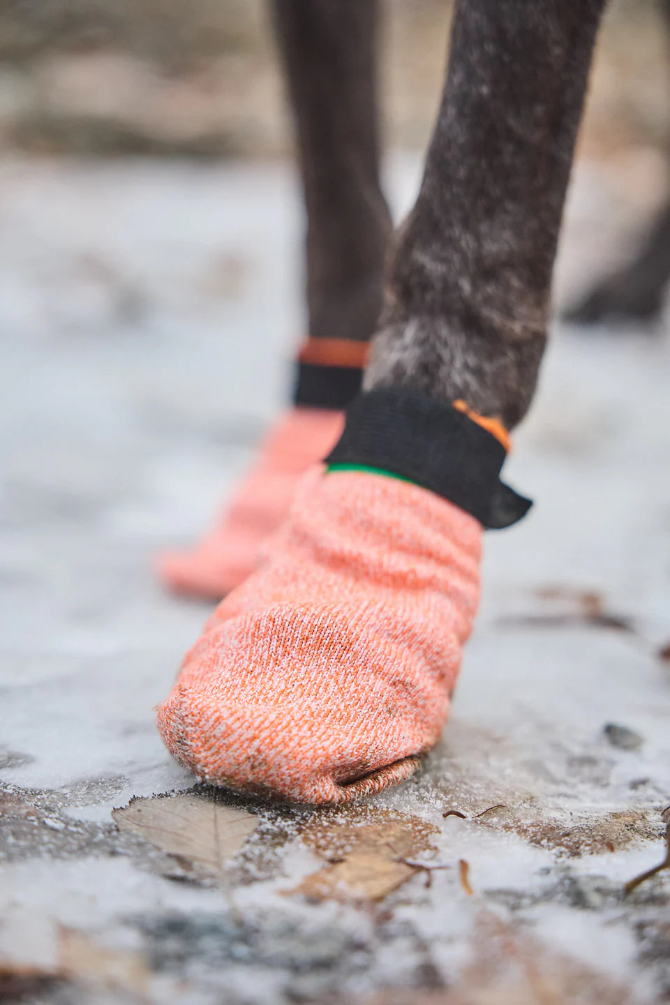 Non-stop Dogwear Protector Light Socks