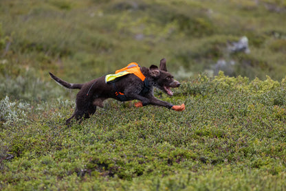 Non-stop dogwear Protector Vest GPS 2.0