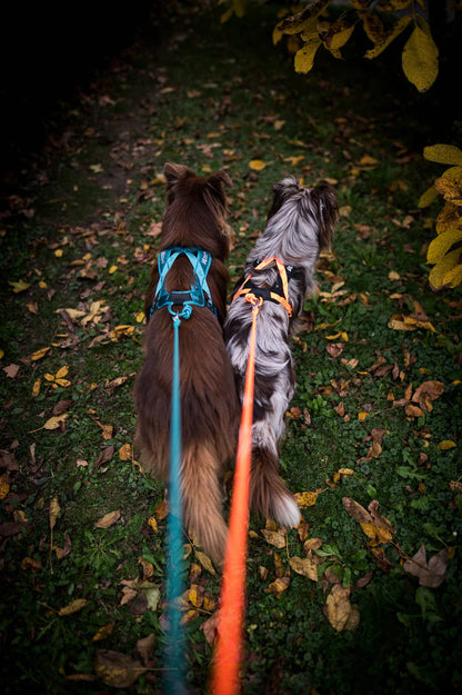 Non-stop Dogwear Rush Harness Orange