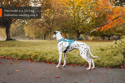 Non-stop Dogwear Rush Harness Orange