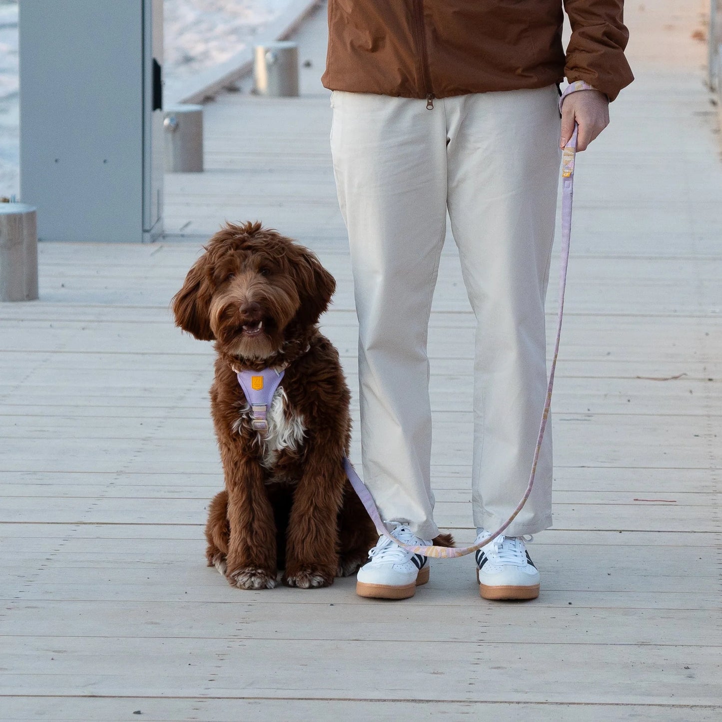 Woolly Wolf Leash Sea to Summit