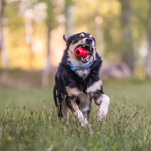 Doggie-Zen Sure Grip KONG Classic-Kampis M