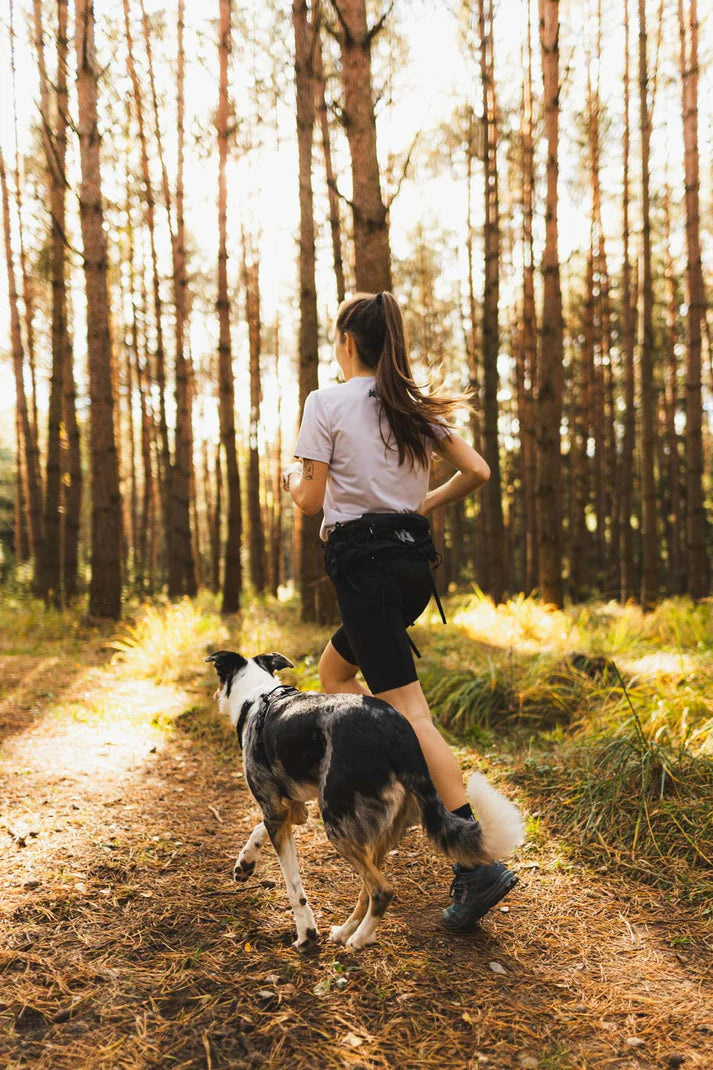 Non-stop Dogwear Trail Light Belt