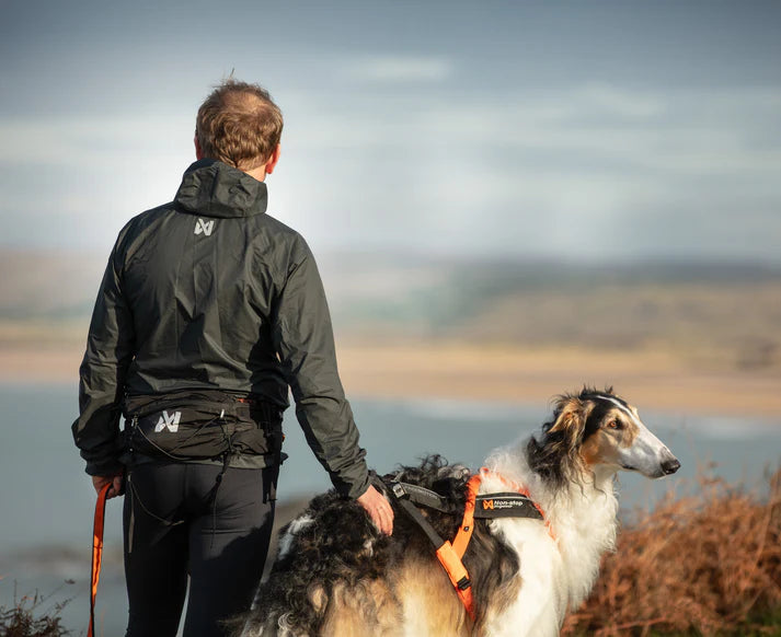 Non-stop Dogwear Trail Light Belt