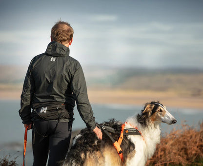 Non-stop Dogwear Trail Light Belt