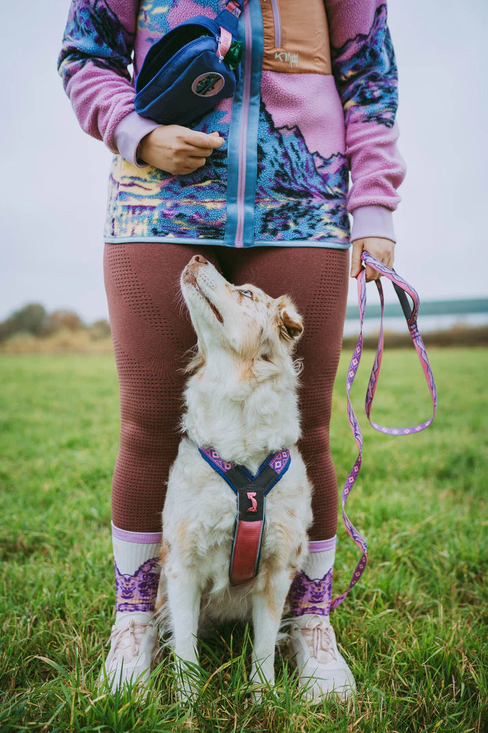 Non-stop Dogwear Trail Quest Leash Rachel Pohl Edition Teal/Oak