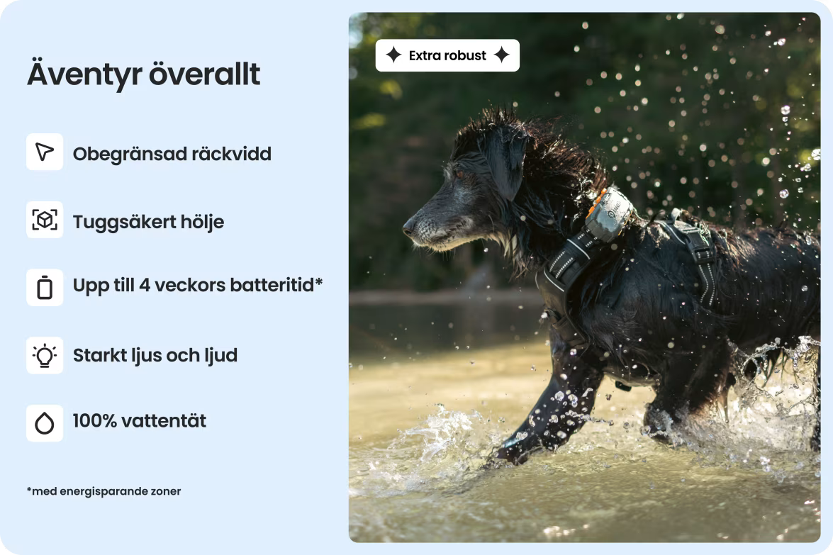 Tractive GPS Dog XL Adventure