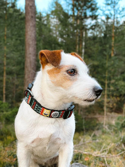 Woolly Wolf Halsband Woodland